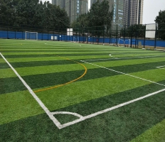 體育中心足球場人造草坪
